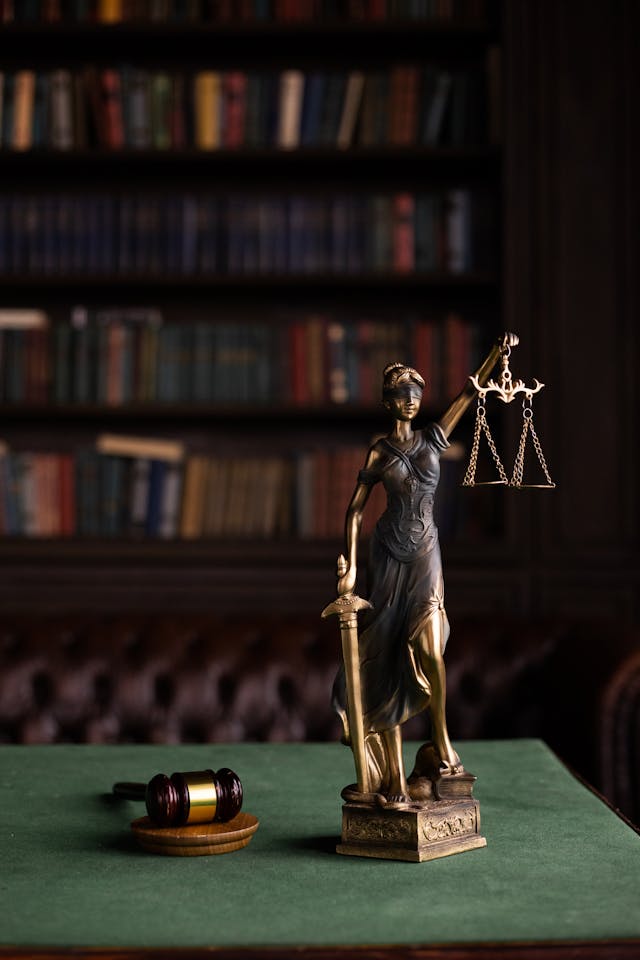 Stone Guard Law